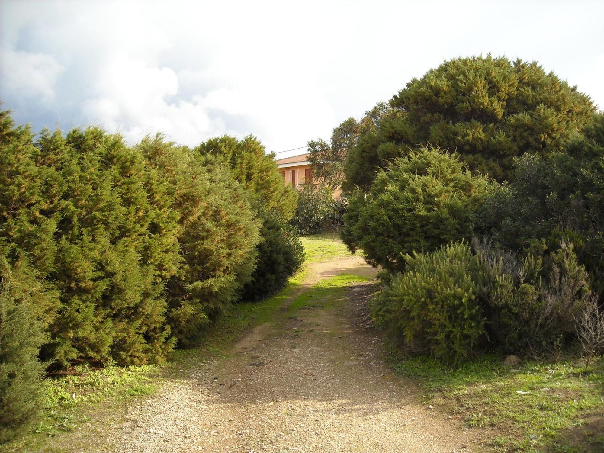 Agriturismo Depalmas Стинтино Экстерьер фото